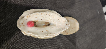 Pussy Pipe Flat Speckled Brn - Pipe